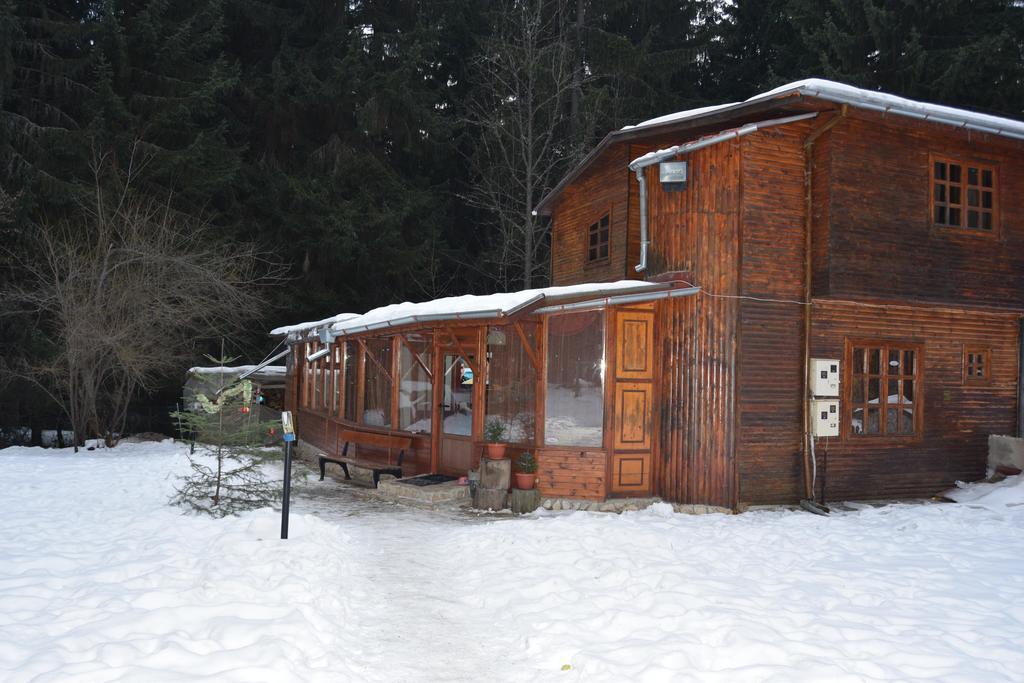 Persey Villa Borovets Bagian luar foto